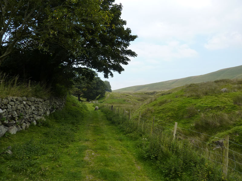 Longlands Fell